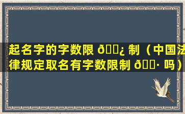 起名字的字数限 🌿 制（中国法律规定取名有字数限制 🌷 吗）